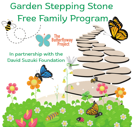 Butterflyway program